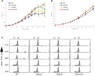 Phenotypic Characterization of Sulfolobus islandicus Strains Lacking the B-Family DNA Polymerases PolB2 and PolB3 Individually and in Combination